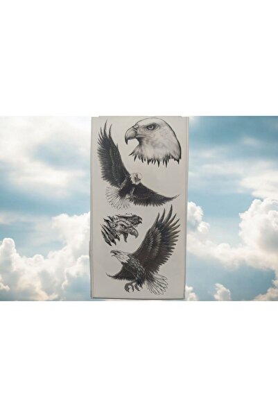 Mor Kayısı BEYAZ BAŞLI KARTAL Geçici Dövme