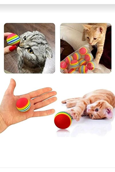 Dalian Home 4'lü Gökkuşağı Eva Kedi Köpek Çiğneme Oyun Topu Sünger Top