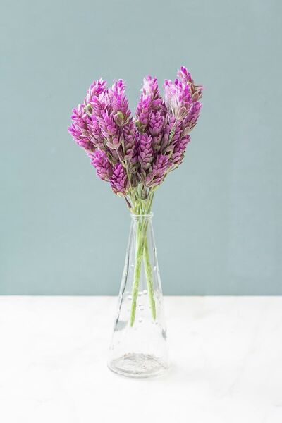 Arma House 1 Adet Pembe Lavandula Yapay Akdeniz Çiçek