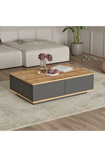 Yurudesign Future Orta Sehpa 2 Kapaklı Çam-Antrasit FR14-AA