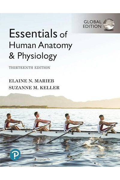 Pearson Essentials Of Human Anatomy & Physiology [Global Edition]