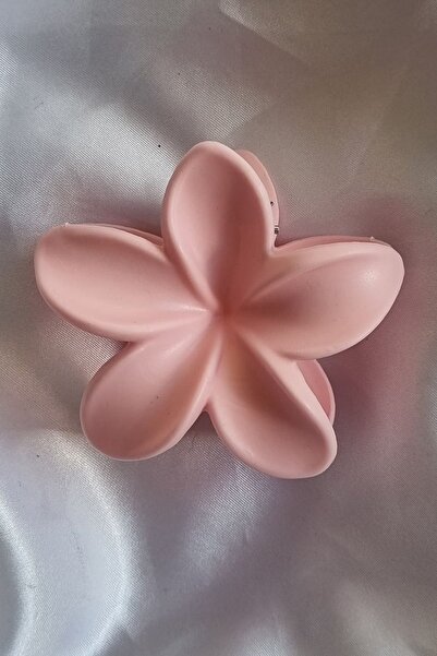 Trade Bazaar لوتس مزلاج مشبك باستيل ماتي باستيلوتوس