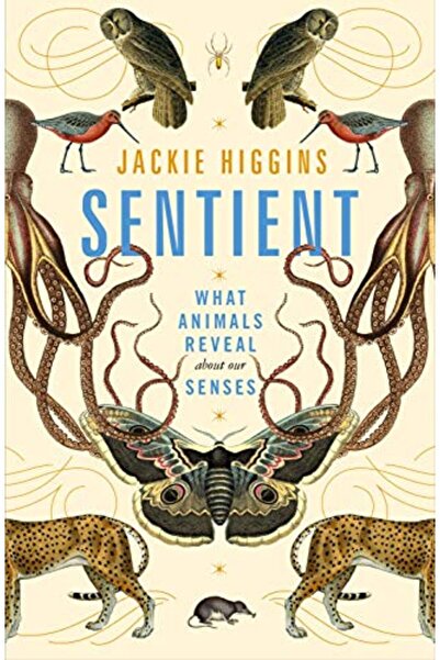 Macmillan Distribution Sentient What Animals Reveal About Our Senses