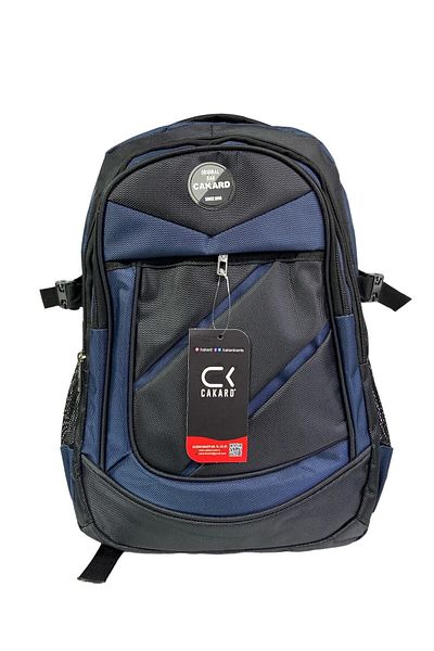 CAKARD Large size Waterproof Thick Fabric Orthopedic Three-compartment School Outing Travel Camping Backpack