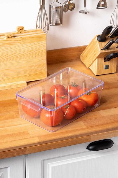 FH finehome Broby 4.75 Lt Medium Size Transparent Refrigerator Organizer with Lid