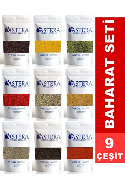ASTERA 9 Çeşit Lüx Baharat Seti Sumak Köri Nane Pulbiber Kekik Kimyon Karabiber Isot Toz Biber