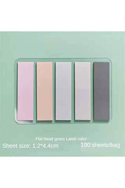 NaSaDAN Morandi Renkler 5'li Şeffaf Yapışkanlı Not Kağıdı İndex Ayraç 100 Yaprak