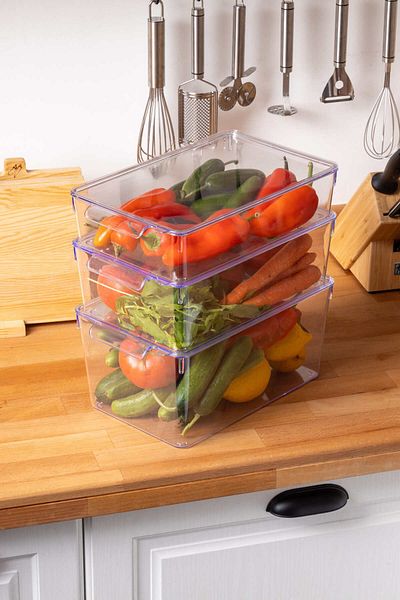 FH finehome Broby 4.75 Lt Medium Size Transparent Refrigerator Organizer with Lid