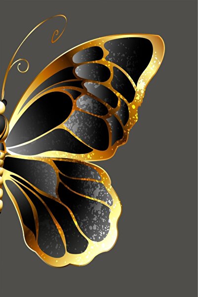 Harikabirev |siyah-gold-gri Kelebek Kombini |pleksi Çerçeveli Mdf Tablo 3dky