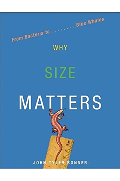 Wiley لماذا الحجم مهم من البكتيريا إلى الحيتان الزرقاء