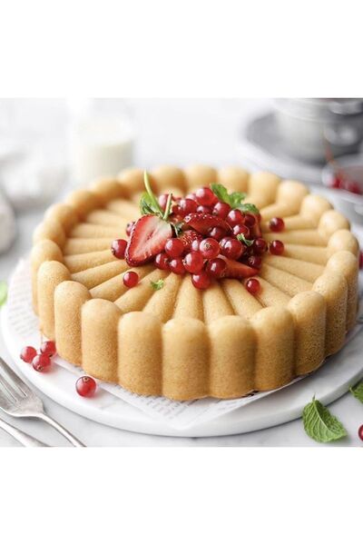 BKC HOME CASTING GRANITE TART CAKE MOLD