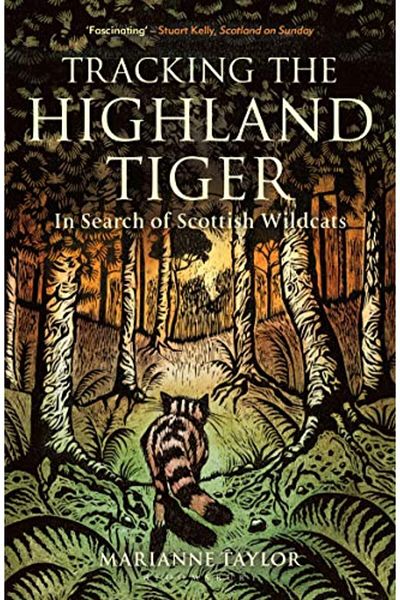 Macmillan Distribution Tracking The Highland Tiger In Search Of Scottish Wildcats