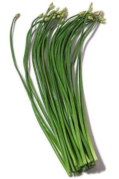 Tohum Dünyası 50 Adet Sarmısak Otu Tohumu