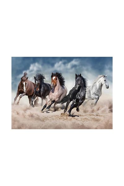 Neverland HORSES - 1000 Piece Puzzle Horses