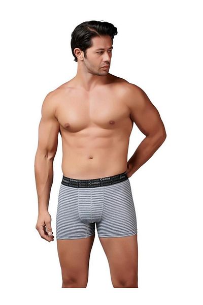 GÜMÜŞ 6 Pieces Silver Men's Striped Lycra Sports Boxers 3114