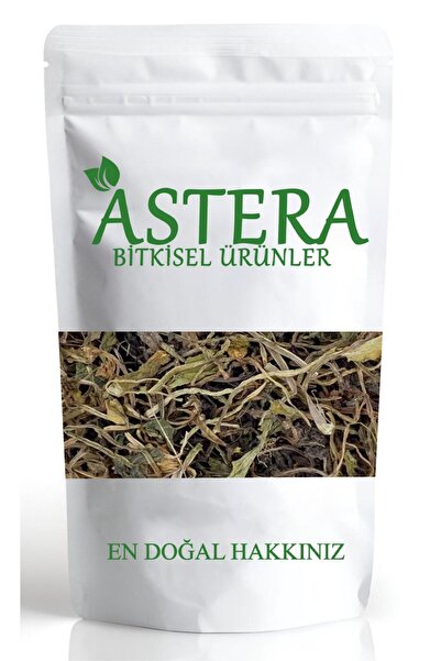 ASTERA 50 Gr Kedi Otu Yaprağı Kurusu