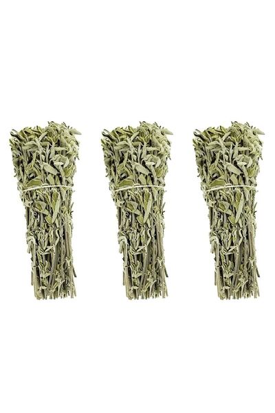 ASTERA 3 Adet Yeni Mahsül Dağ Adaçayı Çalba Gri Adacayı