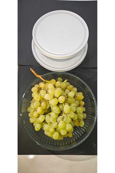 LAV Tokyo Storage Container with White Lid - Set of 3 (880Cc-1500Cc-2600Cc)