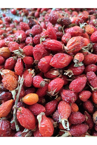 Türkiyem Organik Ürünler ثمر الورد المجفف من سيفاس 1 كجم