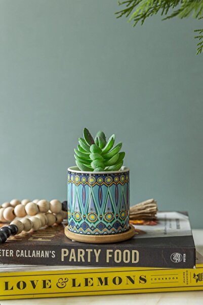 Arma House Arts Bohemtarzı Mandala Kaktüs & Sukulent Saksı