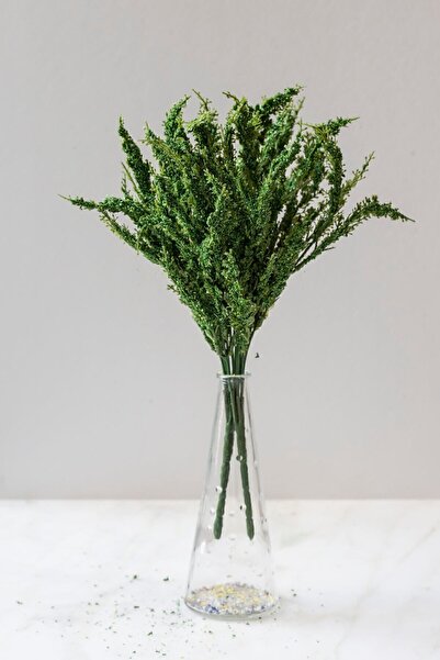 Arma House 1 دوسيت دارام زهرة صناعية خضراء