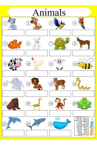Okuling Primary School English Summer Wipe Set