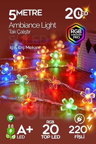 SULED RGB 5 Metre Gül Led 20 Led 220V Fişli Tak Çalıştır Dekoratif İç ve Dış Mekan Süsleme Işığı