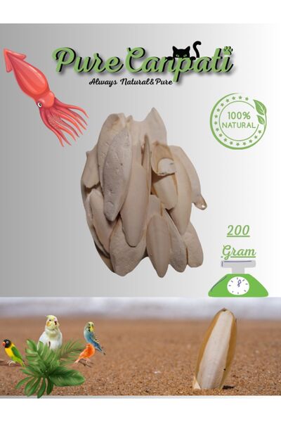 PureCanpati Kalamar Kemiği Mürekkep Balığı Kemiği 200gr Kırıklı Ve Ufak Boy K...