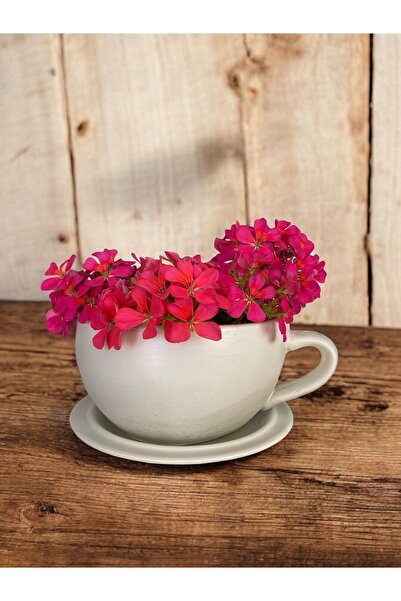 Genel Markalar El Yapımı Beton Büyük Fincan Saksı, Şık ve Modern Dekoratif Bitki Saksısı