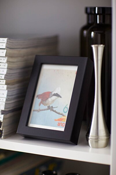 IKEA Πλαίσιο RIBBA