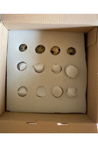 Eldivandan Bıldırcın Yumurtası 1 Paket 12 Adet ( Özel Kutuda Güvenli Kargo)