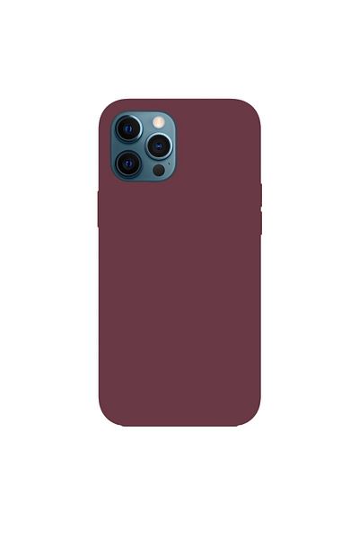 SUPPO iPhone 12 Pro Max Model, Launch Case