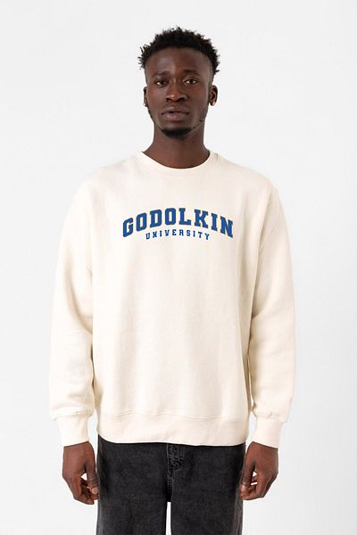 Tshirthane Ανδρικό φούτερ Gen V Godolkin University Letter Ecru 2ip