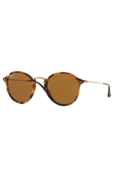 Ray-Ban 0RB 2447 1160 49 Unisex Güneş Gözlüğü