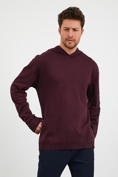odelon Ανδρικό φούτερ με κουκούλα Plum Comfort Fit