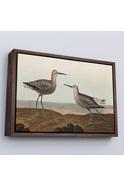 Oxyteez Pictură „Păsările din America” de John James Audubon cu cadru din lem...