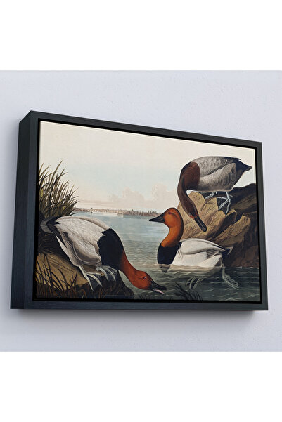 Home John James Audubon Ducks Painting with Wooden Frame-7030