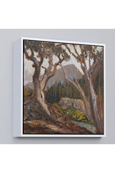 Oxyteez Longs Peak din Loch Vale cu cadru din lemn, Estes Park, Colorado Pain...