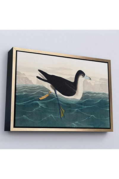 Oxyteez Robert Havell cu rame din lemn, John James Audubon Pictură de pasăre ...