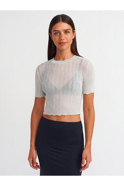 Dilvin 10571 Model - Light Gray Knitwear Blouse with Crew Neck and Transparent Detail