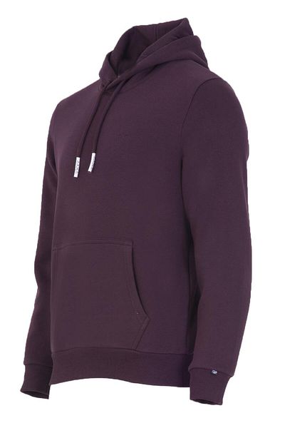 Arma Мъжки суитшърт с качулка в бордо и цвят Basic K22254914401