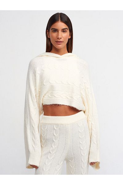 Dilvin 10459 Hooded Kimono Sleeve Hair Knitted Crop Sweater-ecru