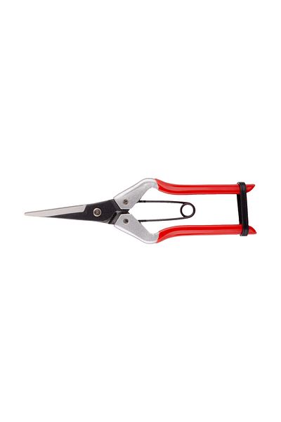 Palmera Sp18 Fruit Picking Scissors