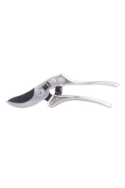 Palmera Ps23a Fruit Picking Scissors