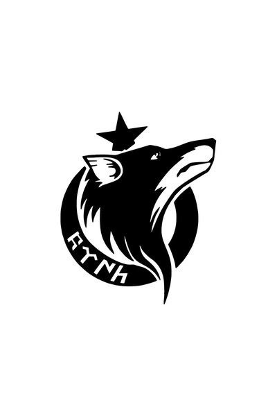 Generic Brand Bozkurt Ay Gokturkça Auto custom new sticker Black 30 x 36 cm