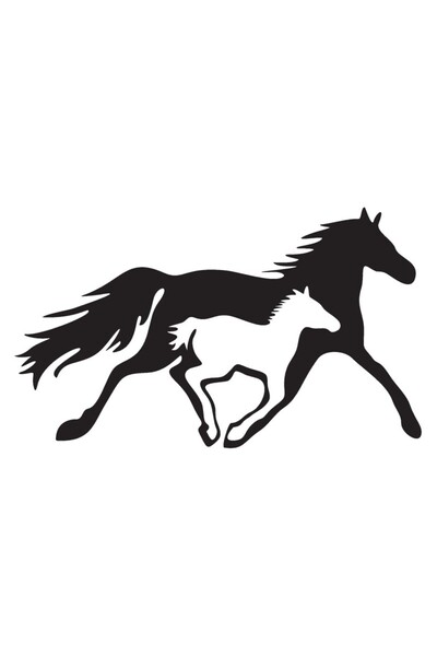 BİLGİMOLA ملصق الحصان والطفل من النوع 2 مقاس 30 × 18 سم