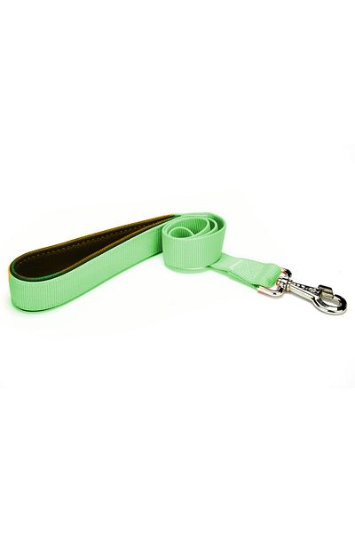 colezium Dog Walking Strap 2 cm x 115 cm Green