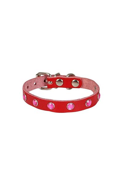 Angoravi Cat and Puppy Collar with Stones 1.0X19 cm Red Small