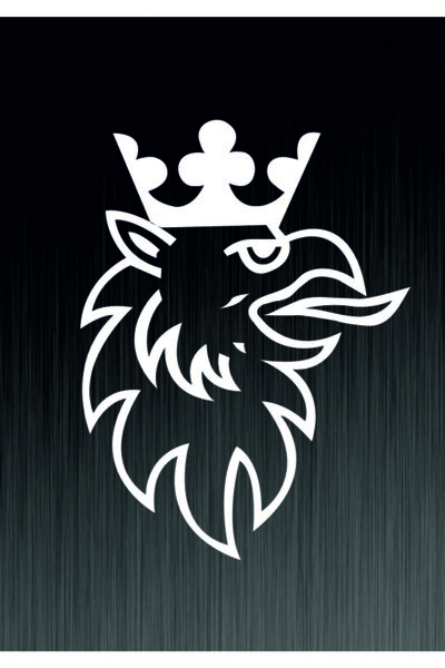 Genel Markalar Scanıa R Logo Oto Özel Yeni Tasarım sticker 35*25 Cm