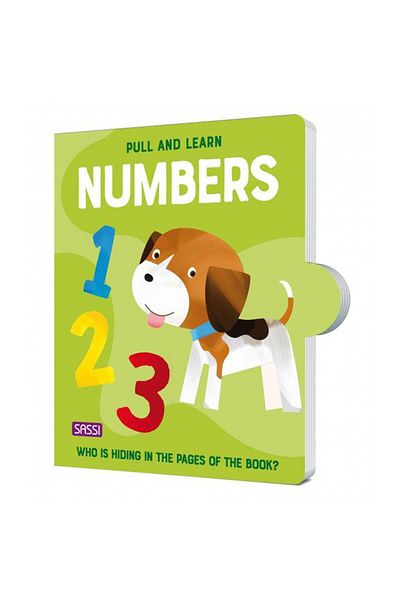Sassi Junior Pull and Learn Numbers